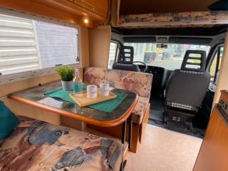 Pilote First 34